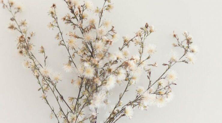 Τι προβλέπουν τα ζώδια για τη Δευτέρα 29 Απριλίου 2019;