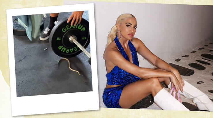 Ιωάννα Τούνη: Εμφανίστηκε φίδι την ώρα που έκανε προπόνηση στο γυμναστήριο [βίντεο]