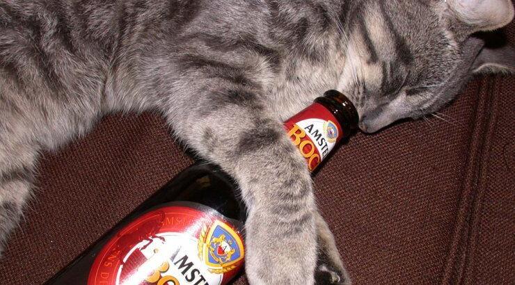 Ποιος τύπος μεθυσμένου είσαι όταν πίνεις; 