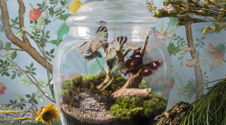 Το νέο project του Gucci [εικόνες]