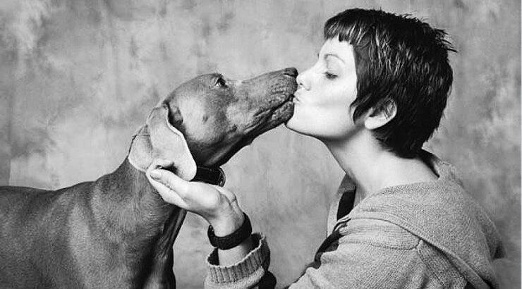 Τι μπορεί να πάθουμε αν φιλάμε το σκύλο μας στο στόμα;