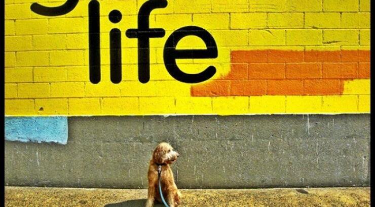 Πώς θα κάνουμε πιο αποδοτική την Κυριακή;