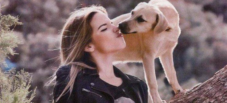  Η Εριέττα Κούρκουλου ναυλώνει δύο πούλμαν για Βουκουρέστι για να σώσει τα αδέσποτα