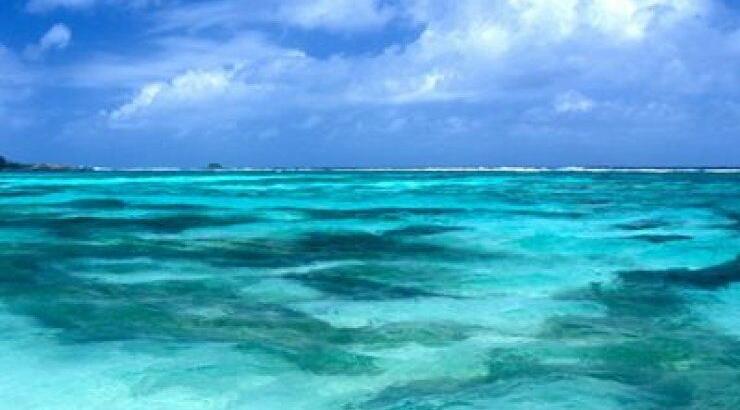 Χάστε θερμίδες κολυμπώντας 