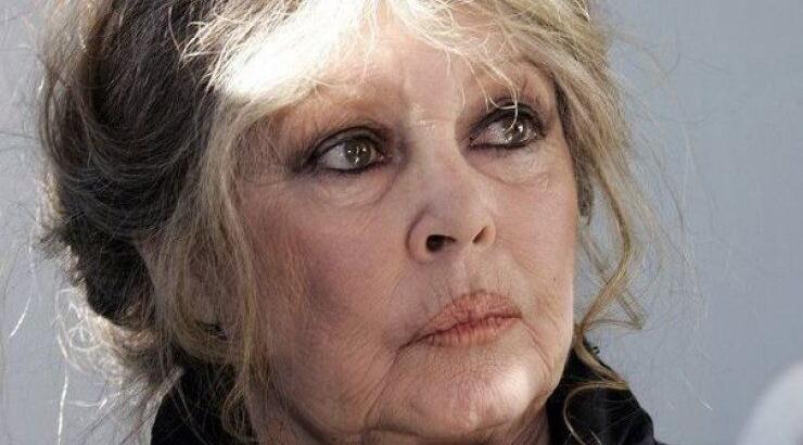 Μπαρντό: Ακολουθώ τον Ντεπαρντιέ στη Ρωσία αν δε σωθούν 2 ελέφαντες