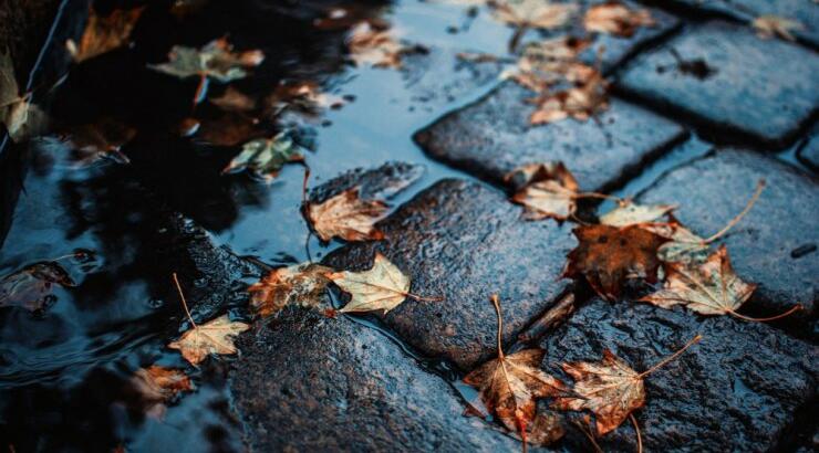 Τι προβλέπουν τα ζώδια για την Πέμπτη 20 Δεκεμβρίου 2018