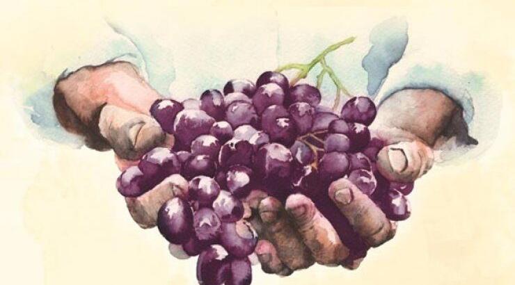 Δωρεάν κρασί από 27 κυπριακά οινοποιεία