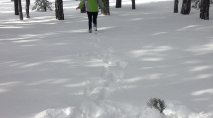 Εκδρομή στα χιόνια για επώνυμη Κύπρια!