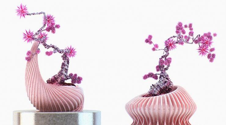 Εξωγήινα bonsai