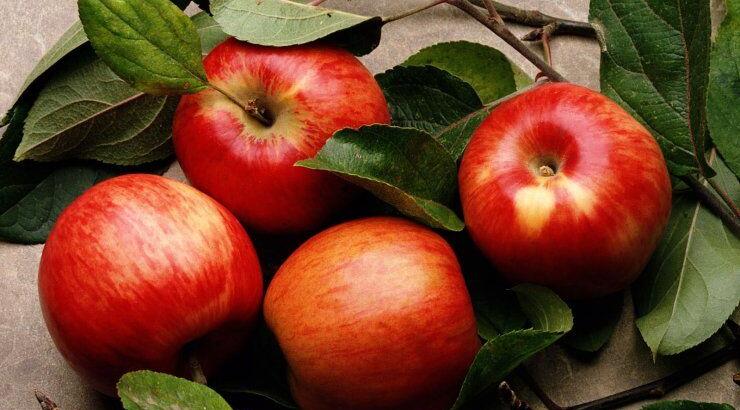 Τα 4 φρούτα που θα ξυπνήσουν τον μεταβολισμό σου