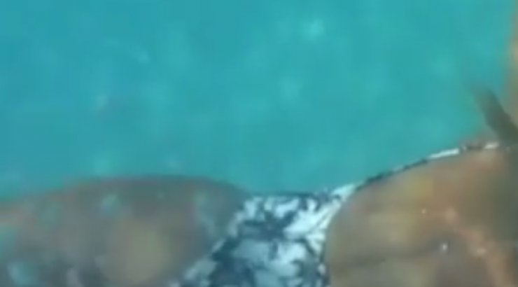 Παρουσιάστρια του ΣΙΓΜΑ ανεβάζει τη θερμοκρασία στο ύψη κάνοντας βουτιά με στρινγκ! [βίντεο]