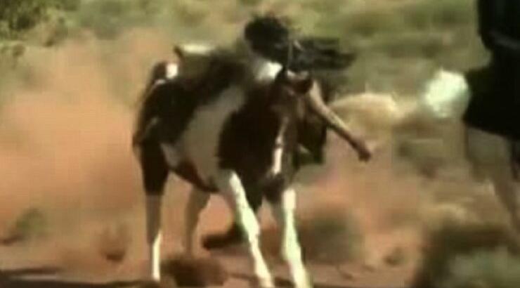 Γλύτωσε απο θαύμα ο Johnny Depp 