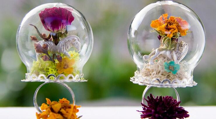 Σαν μικροί βοτανικοί