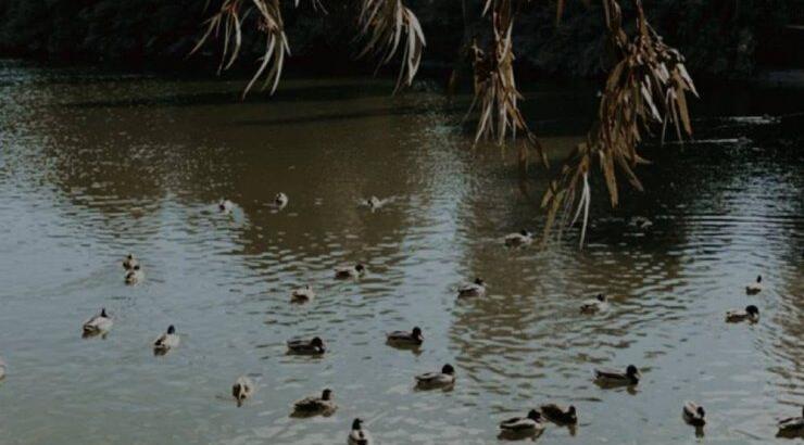 Αυτό είναι το πιο πολυφωτογραφημένο location στο instagram και βρίσκεται στο κέντρο της πρωτεύουσας!