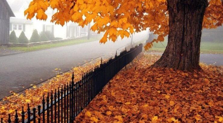 5 φθινοπωρινές συμβουλές υγείας