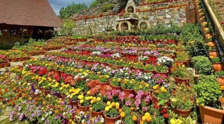 Αυτή η ολάνθιστη αυλή βρίσκεται στην Κύπρο και μπορείς να την επισκεφθείς 