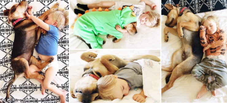 Η ιστορία αγάπης και ύπνου του μωρού και του σκύλου εξακολουθεί να λιώνει το Ιντερνετ  