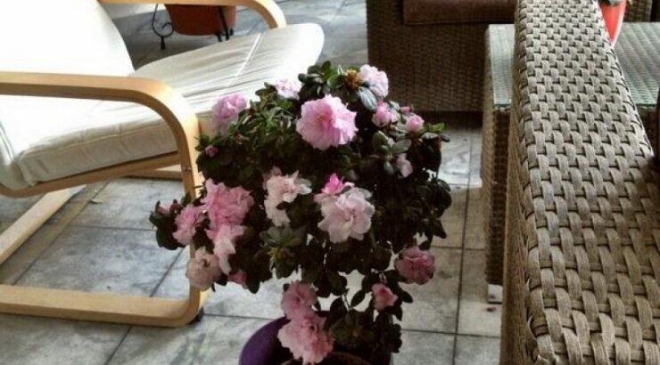 Ποιό πασίγνωστο ζευγάρι ηθοποιών πόσταρε αυτή τη φωτογραφία;