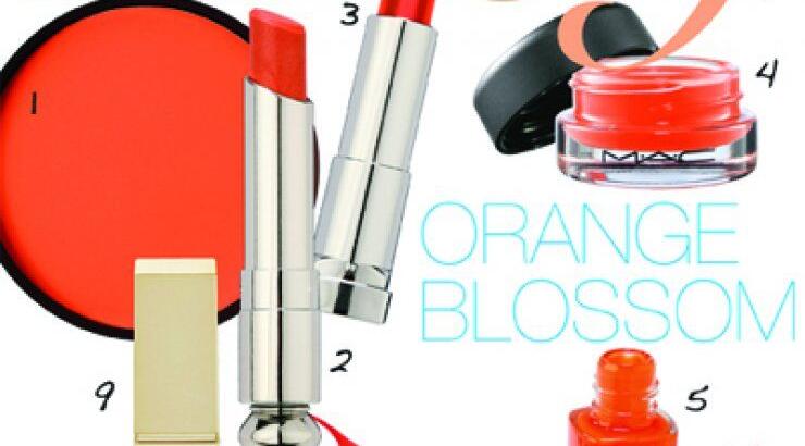 Πορτοκαλί παράδεισος