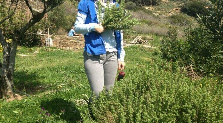 Τί χάλασε το τριήμερο της Ελένης;