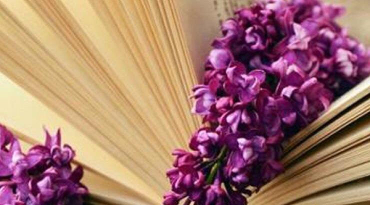 Μπες στον ρυθμό του Nicosia Book Fest 2017