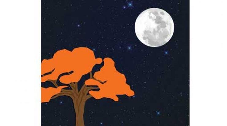 Όσα ξέρω για τη Βέρα Κάντιντα της Véronique Ovaldé