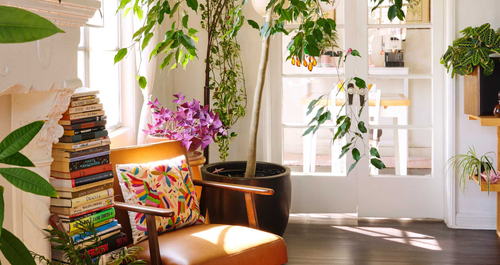 Αυτό το πολύχρωμο ενοικιαζόμενο διαμέρισμα μοιάζει με ένα vintage βιβλιοπωλείο γεμάτο φυτά