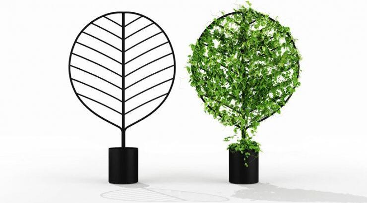 Βάση για περικοκλάδες