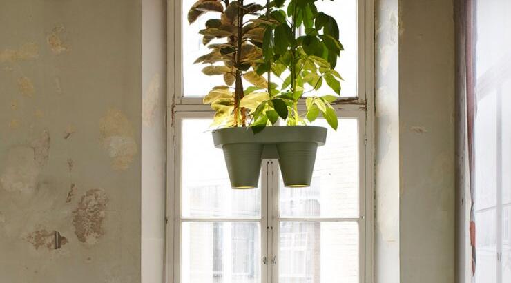 Τροπικό δάσος