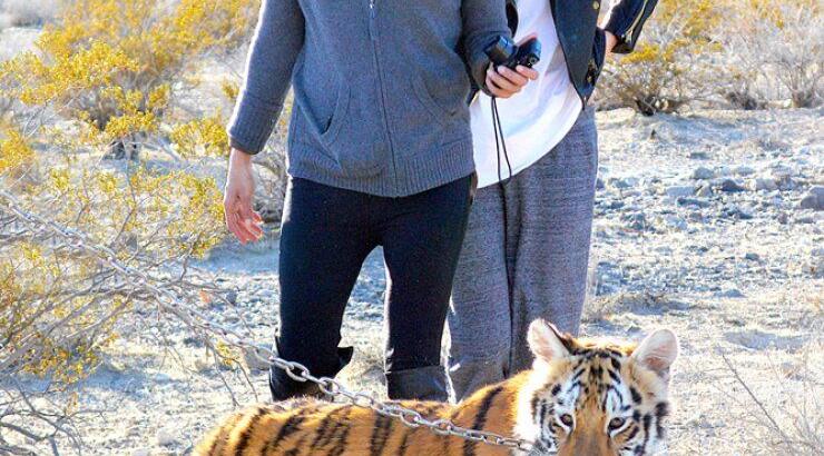 Διάσημο μοντέλο…φιλάει στο στόμα τίγρη [φωτογραφίες]