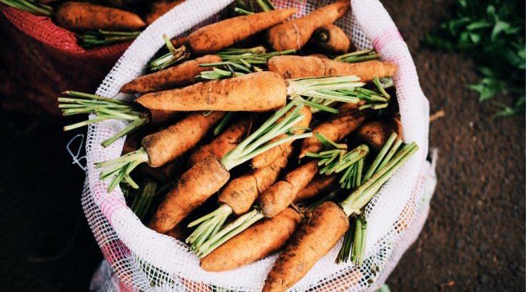 Πέντε σημαντικοί λόγοι για να εντάξεις το καρότο στη διατροφή σου