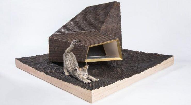 Καταφύγιο για αδέσποτα γατιά