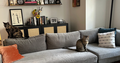 Πριν και Μετά: Ένα διαμέρισμα 55τ.μ. άλλαξε με… δύο μαροκινά χαλιά!