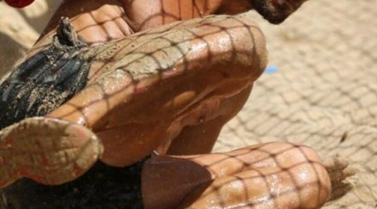 Εξέλιξη στο "Survivor"! Δεν είναι μόνο για ένα ψάρι που οι "Διάσημοι" τα έβαλαν με τον Αγγελόπουλο!