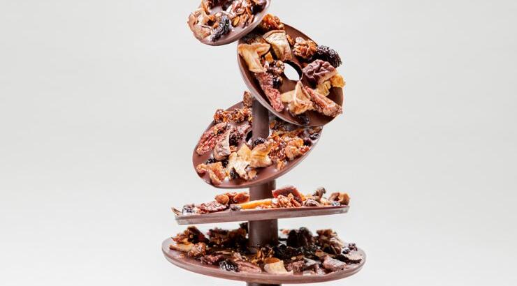 Σοκολατένιο δέντρο