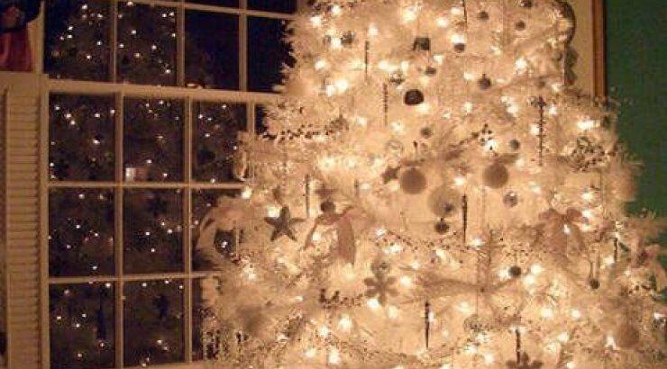 Δείτε πως θα καταλάβετε τι ζώδιο ήταν αυτός που στόλισε το χριστουγεννιάτικο δέντρο! 