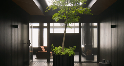 Ένας αρχιτέκτονας σχεδίασε μια ονειρική καμπίνα σε ένα πυκνό, τροπικό δάσος