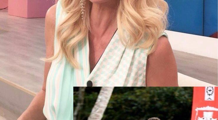 Ο Γιώργος Αγγελόπουλος στο πλευρό της Ελένης Μενεγάκη τη νέα σεζόν;