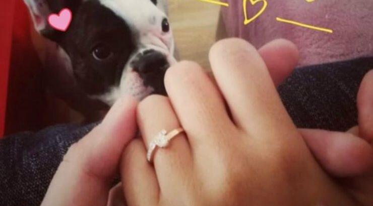 Αγαπημένο ζευγάρι της κυπριακής showbiz μόλις αρραβωνιάστηκε! [εικόνα]