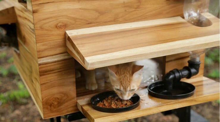 Ξύλινα καταφύγια για αδέσποτα στο Εκουαδόρ