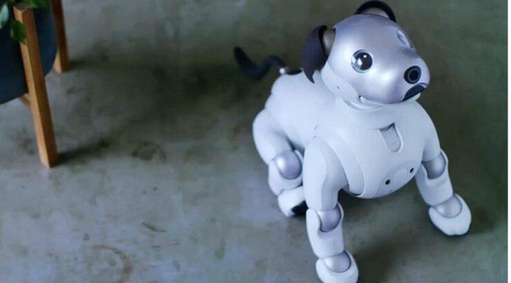 Ένα σοκολατένιο σκυλί για συντροφιά!