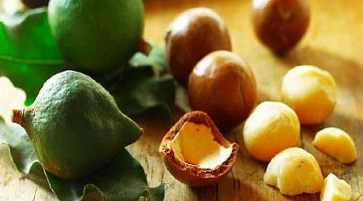  Λάδι Macadamia: Ο απόλυτος beauty σύμμαχος για να εξαφανίσεις ρυτίδες και σακούλες