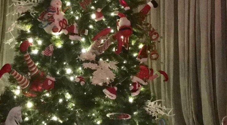 Το υπέροχο χριστουγεννιάτικο δέντρο Κύπριας παρουσιάστριας!