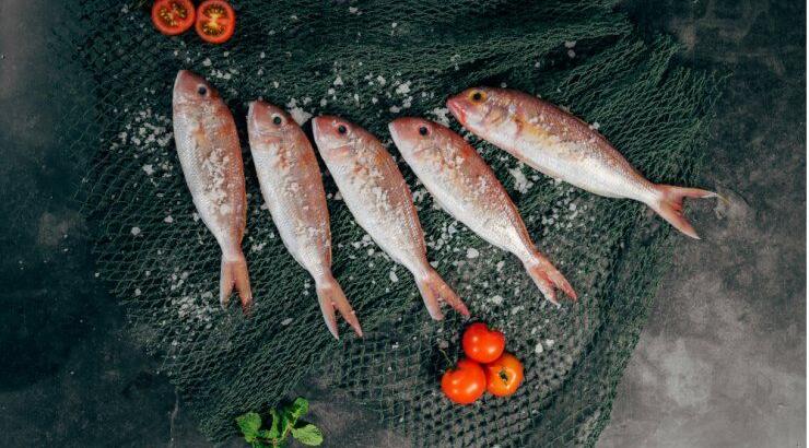Χάστε 5 κιλά με την δίαιτα του ψαριού