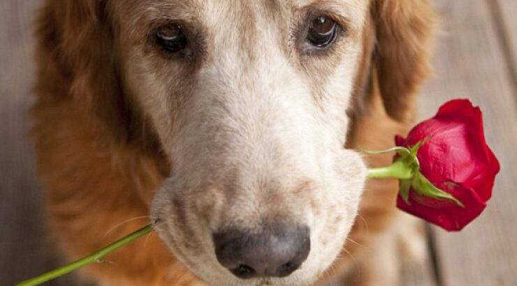  Πού βρίσκεται τελικά η ευτυχία; 