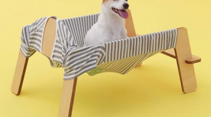 Σκυλί στην ξαπλώστρα!