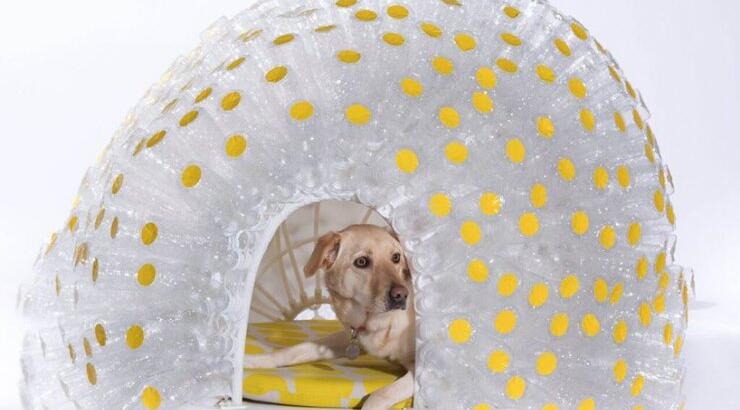 "Bowwow Haus London"