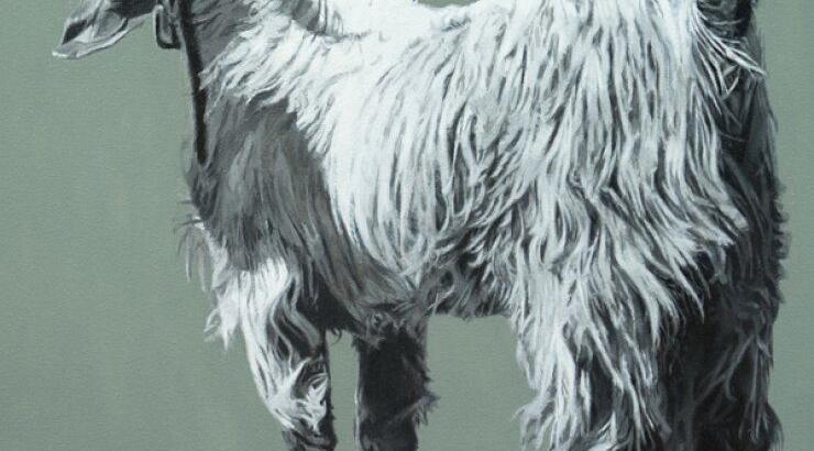 Μια "Γυάλινη Μάντρα"