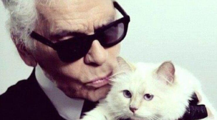 H rich and famous γάτα του Karl Lagerfeld 