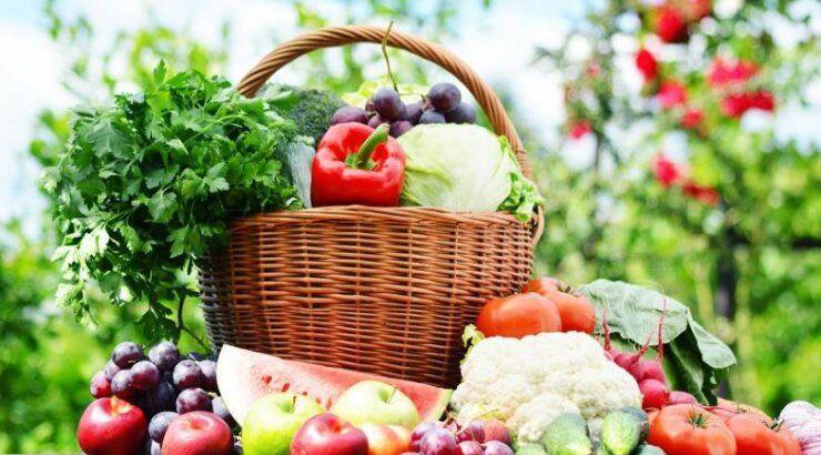 Πάμε στο βιολογικό φεστιβάλ της Λευκωσίας